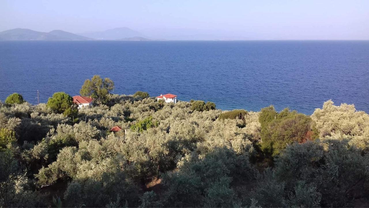 Villa Belian 1 Argalastí Dış mekan fotoğraf